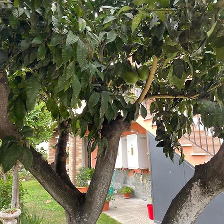 Un Sogno Nel Verde Acilia Exterior foto