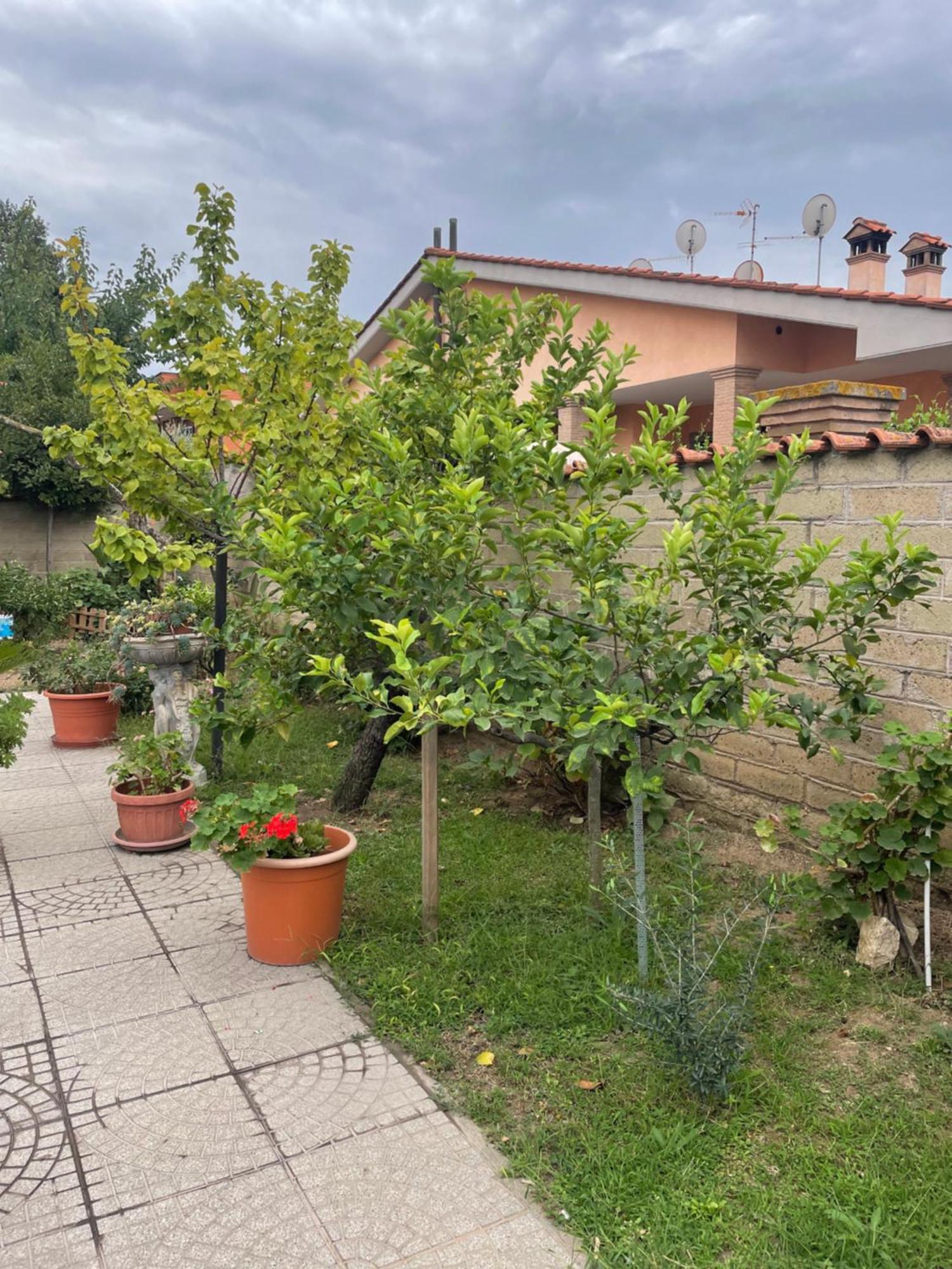 Un Sogno Nel Verde Acilia Exterior foto